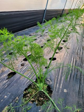 권미화님의 작성글 사진