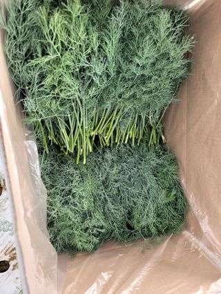 권미화님의 작성글 사진