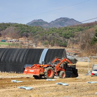 회사원&초보농사꾼님의 공짜로 가질 수 있다면 나의 선택은? · 참여글 작성글 사진