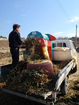 팜모닝 콩·영농일지 게시글 이미지