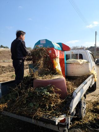 NEO 투스타팀 : 김 진여님의 콩 · 영농일지 작성글 사진