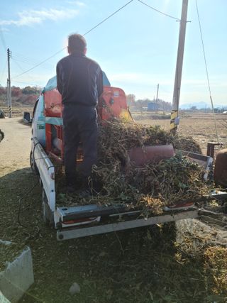 NEO 투스타팀 : 김 진여님의 콩 · 영농일지 작성글 사진