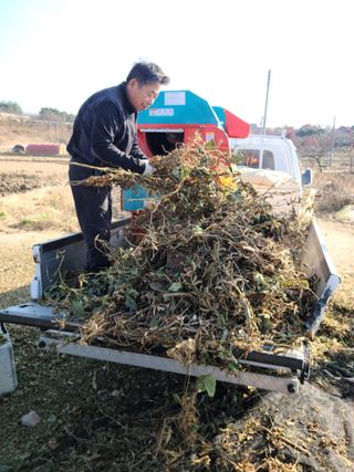 NEO 투스타팀 : 김 진여님의 콩 · 영농일지 작성글 사진
