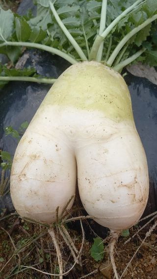 강현숙님의 자유주제 · 사진전 작성글 사진