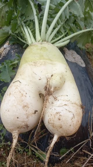 강현숙님의 자유주제 · 사진전 작성글 사진