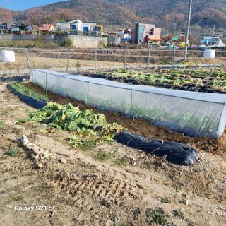 엘리시아님의 공짜로 가질 수 있다면 나의 선택은? · 참여글 작성글 사진