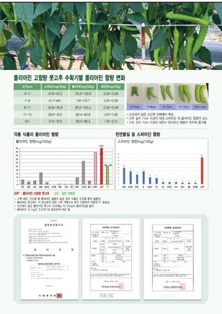 주주씨앗님의 자유주제 · 자유게시판 작성글 사진