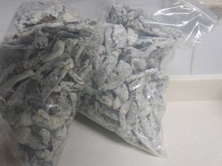 강정희님의 자유주제 · 자유게시판 작성글 사진