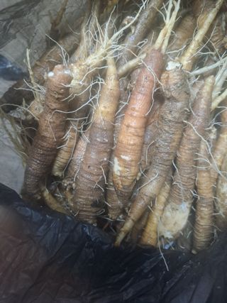 강정희님의 자유주제 · 자유게시판 작성글 사진