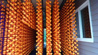 이순기님의 12월 작물 자랑하기 · 참여글 작성글 사진