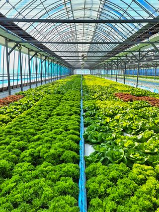 변경원(온심채)님의 자유주제 · 자유게시판 작성글 사진