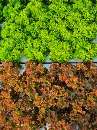 변경원(온심채)님의 자유주제 · 자유게시판 작성글 사진