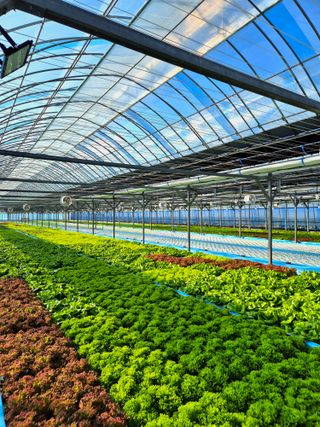 변경원(온심채)님의 자유주제 · 자유게시판 작성글 사진