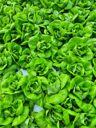 변경원(온심채)님의 자유주제 · 자유게시판 작성글 사진