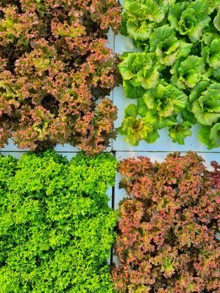 변경원(온심채)님의 자유주제 · 자유게시판 작성글 사진