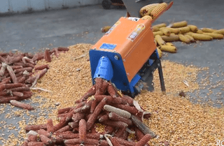 유니즈님의 자유주제 · 자유게시판 작성글 사진