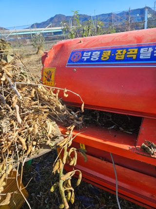 햇사레복숭아님의 자유주제 · 자유게시판 작성글 사진