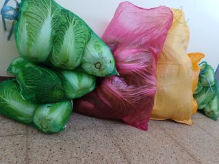 결단이님의 기타작물 · 영농일지 작성글 사진