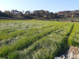 황석면님의 자유주제 · 자유게시판 작성글 사진