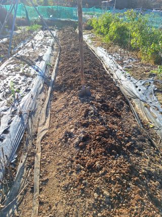 로즈마리님의 공짜로 가질 수 있다면 나의 선택은? · 참여글 작성글 사진