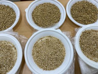 오작교농장님의 자유주제 · 자유게시판 작성글 사진