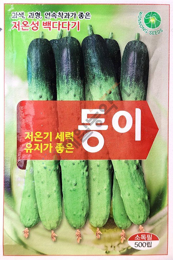 안산제일농약사님의 장터 판매 상품 [동이백다다기 500립 저온기 전용 품종] 첨부 사진