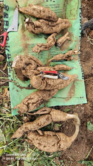 가자님의 자유주제 · 자유게시판 작성글 사진