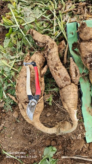 가자님의 자유주제 · 자유게시판 작성글 사진