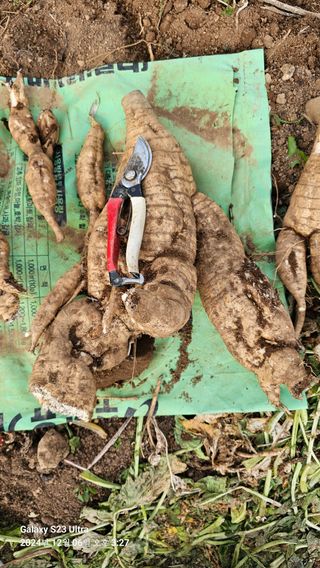 가자님의 자유주제 · 자유게시판 작성글 사진