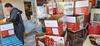 박원주(다원농장)님의 자유주제 · 자유게시판 작성글 사진