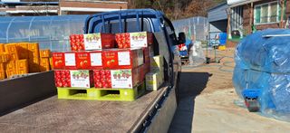 박원주(다원농장)님의 자유주제 · 자유게시판 작성글 사진