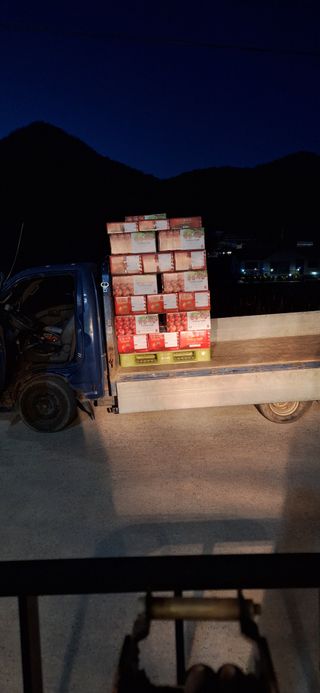 박원주(다원농장)님의 자유주제 · 자유게시판 작성글 사진