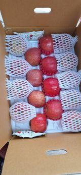 팜모닝 자유주제·자유게시판 게시글 이미지