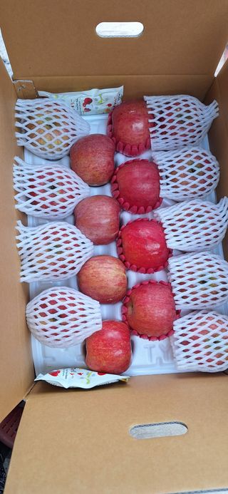 박원주(다원농장)님의 자유주제 · 자유게시판 작성글 사진