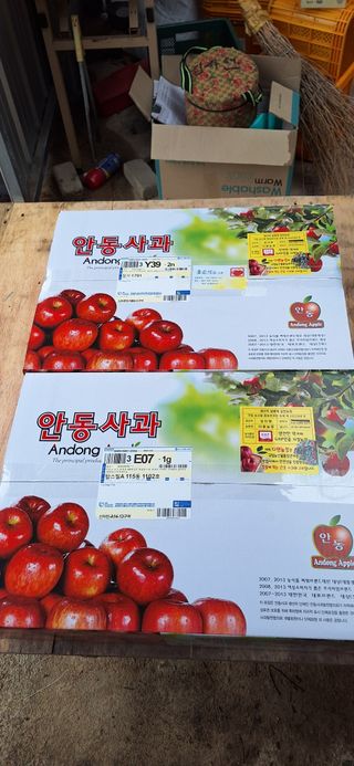 박원주(다원농장)님의 자유주제 · 자유게시판 작성글 사진