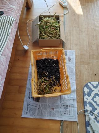 추연호님의 공짜로 가질 수 있다면 나의 선택은? · 참여글 작성글 사진