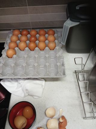 알 수 없음님의 자유주제 · 자유게시판 작성글 사진