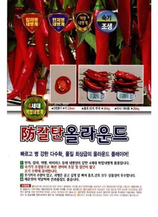 대산농사대장님의 작성글 사진