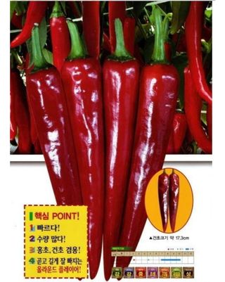 대산농사대장님의 작성글 사진