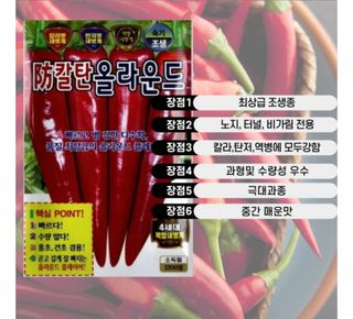 대산농사대장님의 작성글 사진