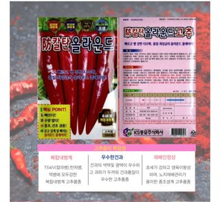 대산농사대장님의 작성글 사진