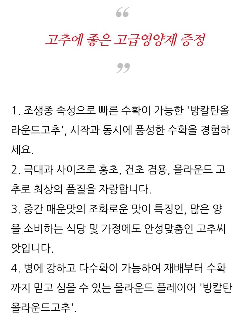 대산농사대장님의 장터 판매 상품 [2025년 특선 고추종자 올라운드 고추씨앗 다수확] 첨부 사진