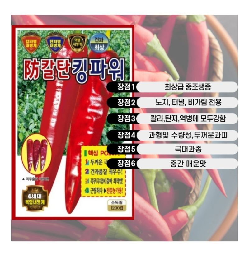 대산농사대장님의 장터 판매 상품 [고추씨앗 복합내병계1200립킹파워 다수확] 첨부 사진