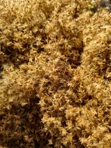 팜모닝 기타작물·영농일지 게시글 이미지