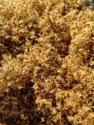 이명숙님의 기타작물 · 영농일지 작성글 사진