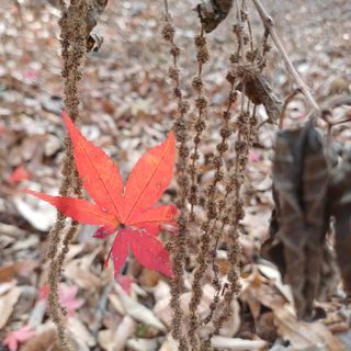 알 수 없음님의 자유주제 · 자유게시판 작성글 사진