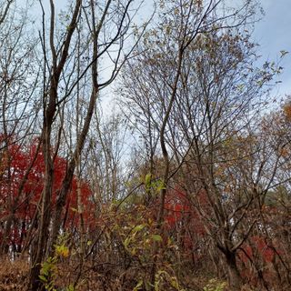 알 수 없음님의 자유주제 · 자유게시판 작성글 사진