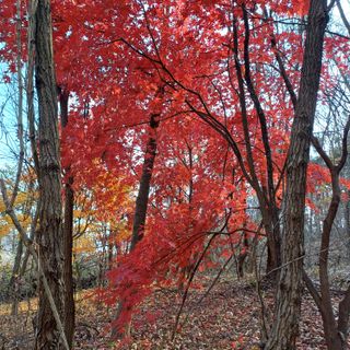 알 수 없음님의 자유주제 · 자유게시판 작성글 사진
