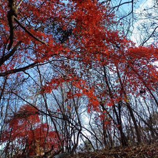 알 수 없음님의 자유주제 · 자유게시판 작성글 사진