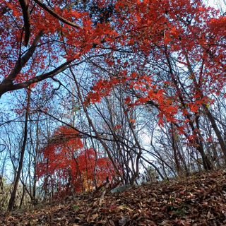 알 수 없음님의 자유주제 · 자유게시판 작성글 사진